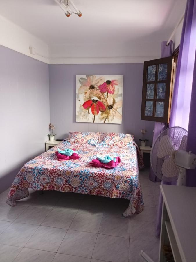 Mácher Apartamentos Playa Honda מראה חיצוני תמונה